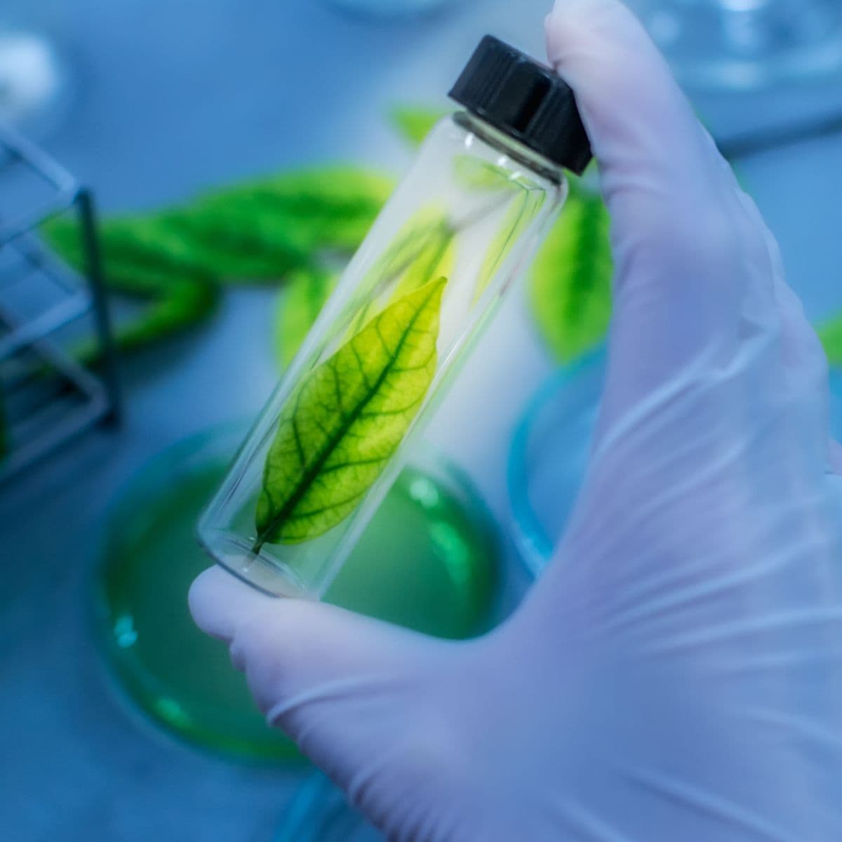 The taxonomy of endogenic pharmacology — bioregulators, bioregulatory medicine, opticeuticals, endoceuticals